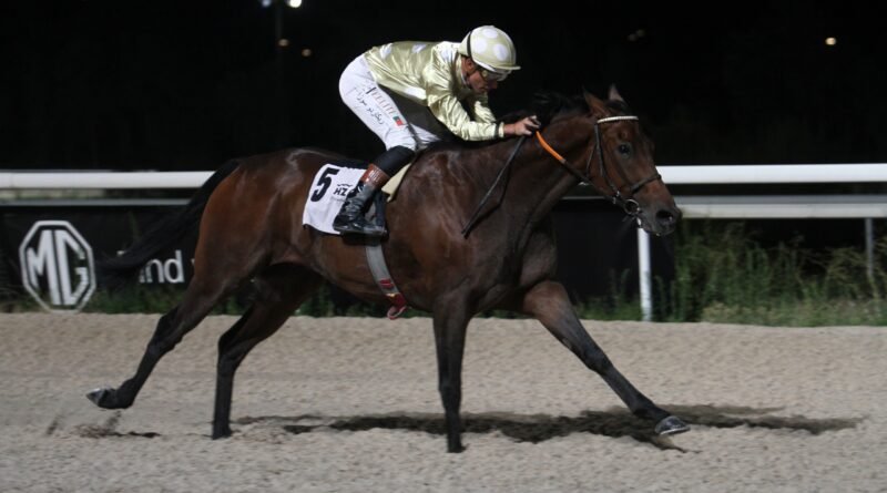 SCHOLARSHIP CONQUISTA EL GRAN PREMIO NOCHES DEL HIPÓDROMO EN UNA GRAN NOCHE DE VERANO SCHOLARSHIP CONQUISTA EL GRAN PREMIO NOCHES DEL HIPÓDROMO EN UNA GRAN NOCHE DE VERANO