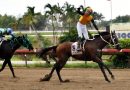 DON OCTAVIO se impone en la Copa San Juan DON OCTAVIO se impone en la Copa San Juan