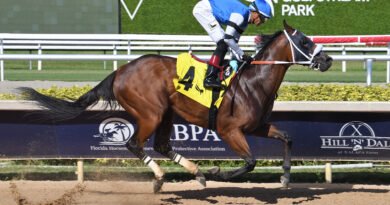 VIKING, ganador del Smile Sprint, regresa en el Black Diamond Cat