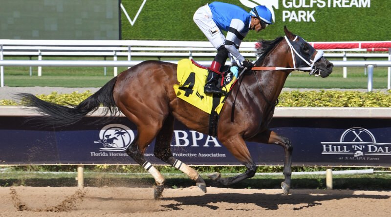 VIKING, ganador del Smile Sprint, regresa en el Black Diamond Cat