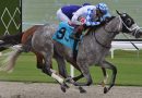 VINCEY GIRL triunfa en la pista de Tapeta y gana el Powder Break