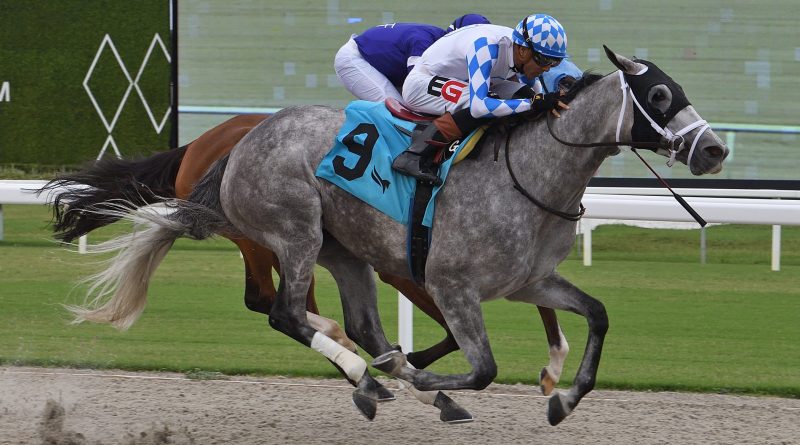 VINCEY GIRL triunfa en la pista de Tapeta y gana el Powder Break