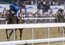 PHILEAS FOGG une partida con llegada en el Suburban Stakes
