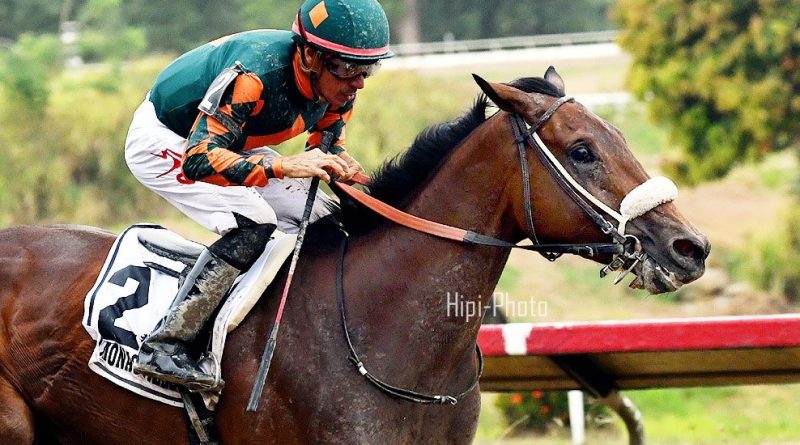 MONAGUILLO se alza con la Copa 4 de julio en Camarero