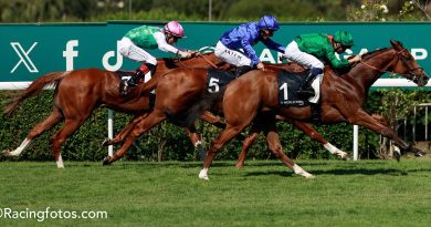 CALANDAGAN muestra su feroz remate para ganar el Grand Prix de Saint-Cloud