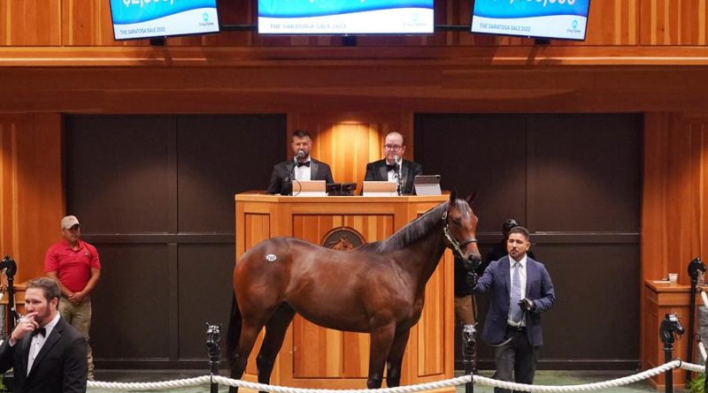 Dubai Racing Club y Fasig-Tipton establecen una histórica alianza internacional Dubai Racing Club y Fasig-Tipton establecen una histórica alianza internacional