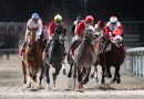 El verano continúa a todo galope con dos nuevas noches de carreras en La Zarzuela
