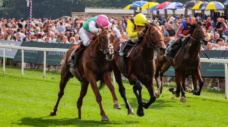 ITEM mantiene su invicto en el Juddmonte International con final de infarto