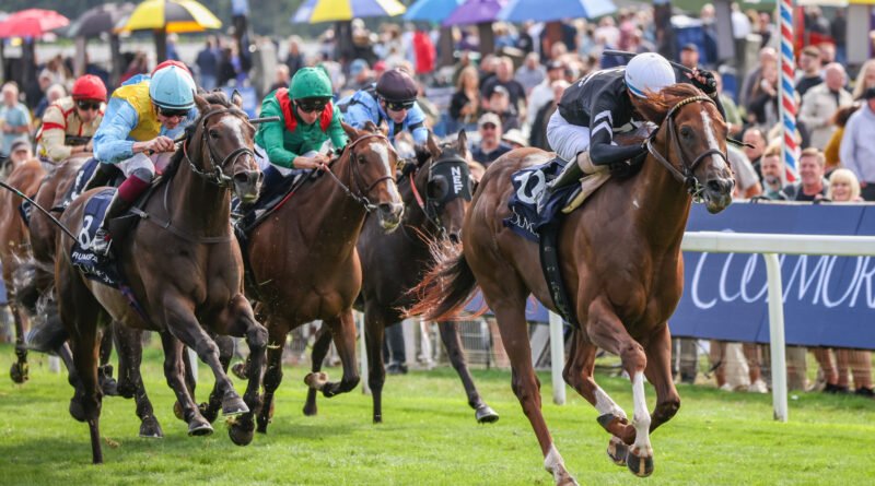 BACIO no falla en el Nunthorpe Stakes