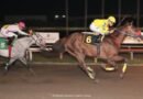 TUTO BABE se impone en el Handicap Vet Evolution
