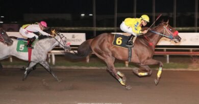 TUTO BABE se impone en el Handicap Vet Evolution