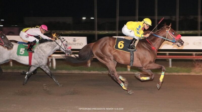 TUTO BABE se impone en el Handicap Vet Evolution
