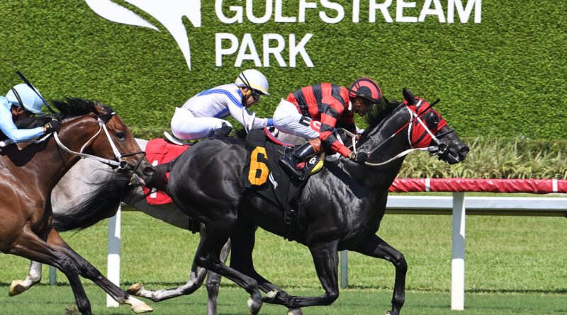 EXTENDO vuelve a la senda del triunfo en el Warrior’s Pride Handicap
