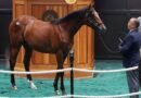 Se baten récords en la deslumbrante 105.ª edición de la Subasta Fasig-Tipton en Saratoga