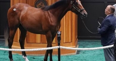 Se baten récords en la deslumbrante 105.ª edición de la Subasta Fasig-Tipton en Saratoga
