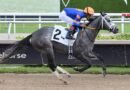 Joseph inscribe a 6 en el Princess Rooney buscando su cuarta victoria consecutiva