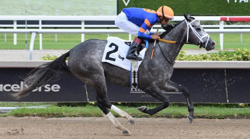 Joseph inscribe a 6 en el Princess Rooney buscando su cuarta victoria consecutiva