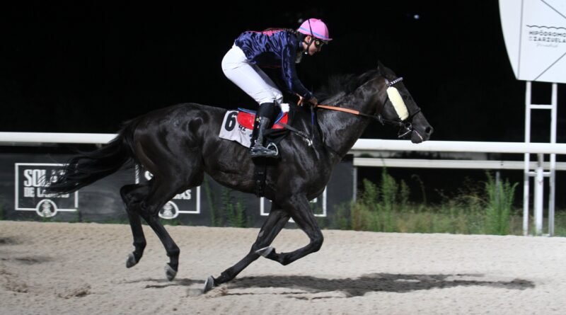 Las Noches del Hipódromo se despiden hasta septiembre por todo lo alto
