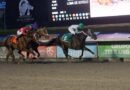 El regreso del Campeón del Caribe