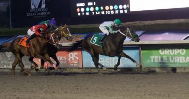 El regreso del Campeón del Caribe
