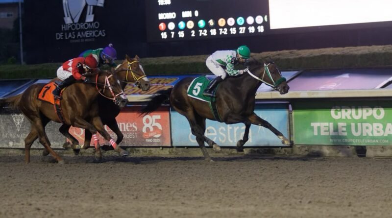 El regreso del Campeón del Caribe