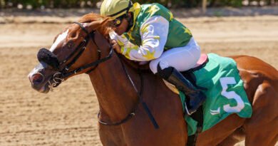 LIBERTY RINGS se recupera para ganar el Scandalous Act