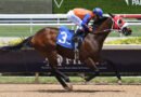 SUM OF SUCCESS encabeza la lista en el In Summation