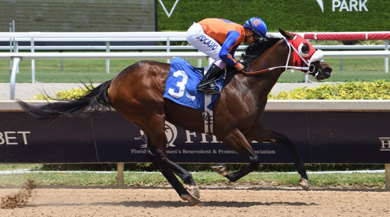 SUM OF SUCCESS encabeza la lista en el In Summation