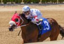 SUM OF SUCCESS domina en el In Summation