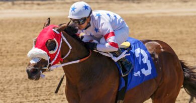 SUM OF SUCCESS domina en el In Summation