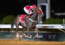 Fin de semana de la Alhada Cup en el King Khalid Racecourse