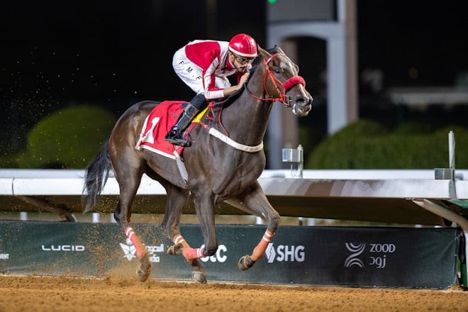 Fin de semana de la Alhada Cup en el King Khalid Racecourse