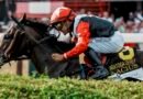 GLACIUS y un magistral Luís Sáez durmieron al grupo en el Saratoga Derby