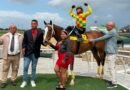 KING BULBS vino de atrás para ganar la Copa Tintoreto