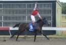KOREAN´S GIRL logra la Triple Corona del hipismo de República Dominicana KOREAN´S GIRL logra la Triple Corona del hipismo de República Dominicana