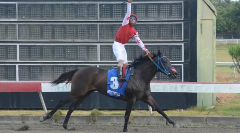 KOREAN´S GIRL logra la Triple Corona del hipismo de República Dominicana KOREAN´S GIRL logra la Triple Corona del hipismo de República Dominicana