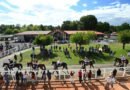 Strelling y Lost in Music vencen en Mont de Marsan