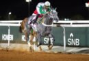TUWAJERI encabeza el grupo de participantes del Taif Derby