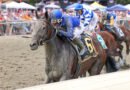 El local WILD VINE da la sorpresa en el Parx Dirt Mile