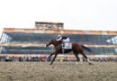 BODACIOUS BAY se impone en el Cotillion Stakes