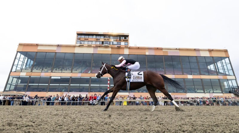 BODACIOUS BAY se impone en el Cotillion Stakes