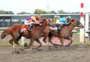 THE PUMA luce intratable con la gríngola en el Pennsylvania Derby