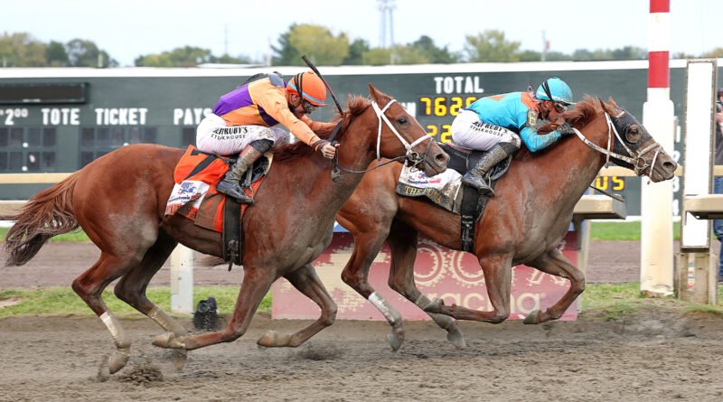 THE PUMA luce intratable con la gríngola en el Pennsylvania Derby