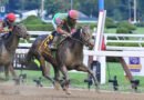 Keeneland venderá a SIPPICAN HARBOR preñada por Into Mischief en la Venta de Reproductores de Noviembre