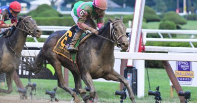 Keeneland venderá a SIPPICAN HARBOR preñada por Into Mischief en la Venta de Reproductores de Noviembre Keeneland venderá a SIPPICAN HARBOR preñada por Into Mischief en la Venta de Reproductores de Noviembre