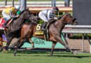 SORRENTO SKY sigue en la senda ganadora