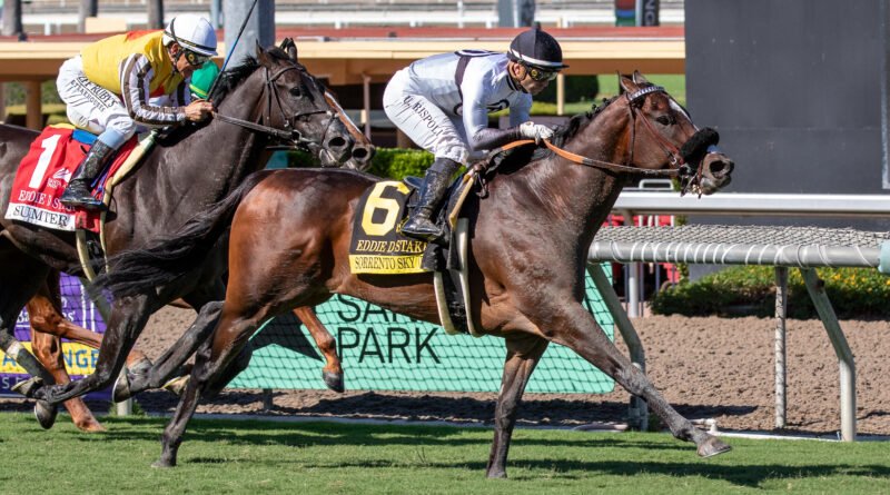 SORRENTO SKY sigue en la senda ganadora