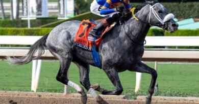 FORGED STEEL conquista el Goodwood Stakes y asegura su boleto a la Breeders’ Cup Classic
