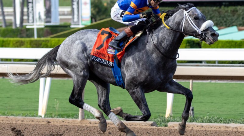 FORGED STEEL conquista el Goodwood Stakes y asegura su boleto a la Breeders’ Cup Classic