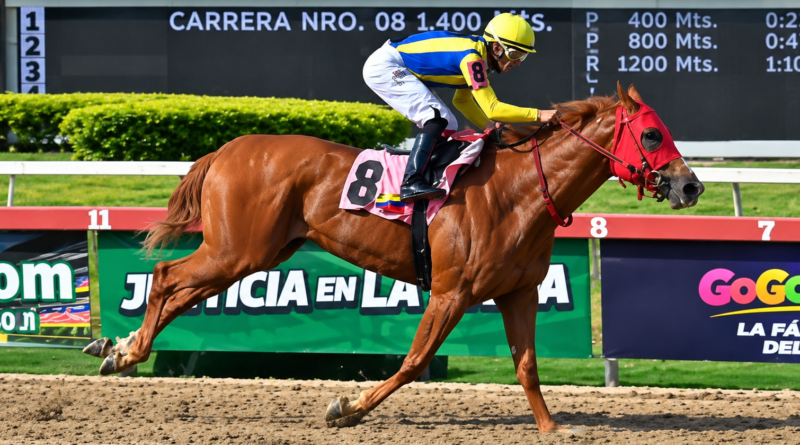 FATIMA BLUSH mantuvo su invicto en el Clásico Gelinotte